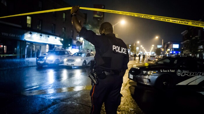 Felony and federal criminal defense lawyer in Chicago